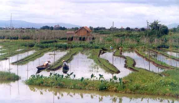 inle06_jpg.jpg